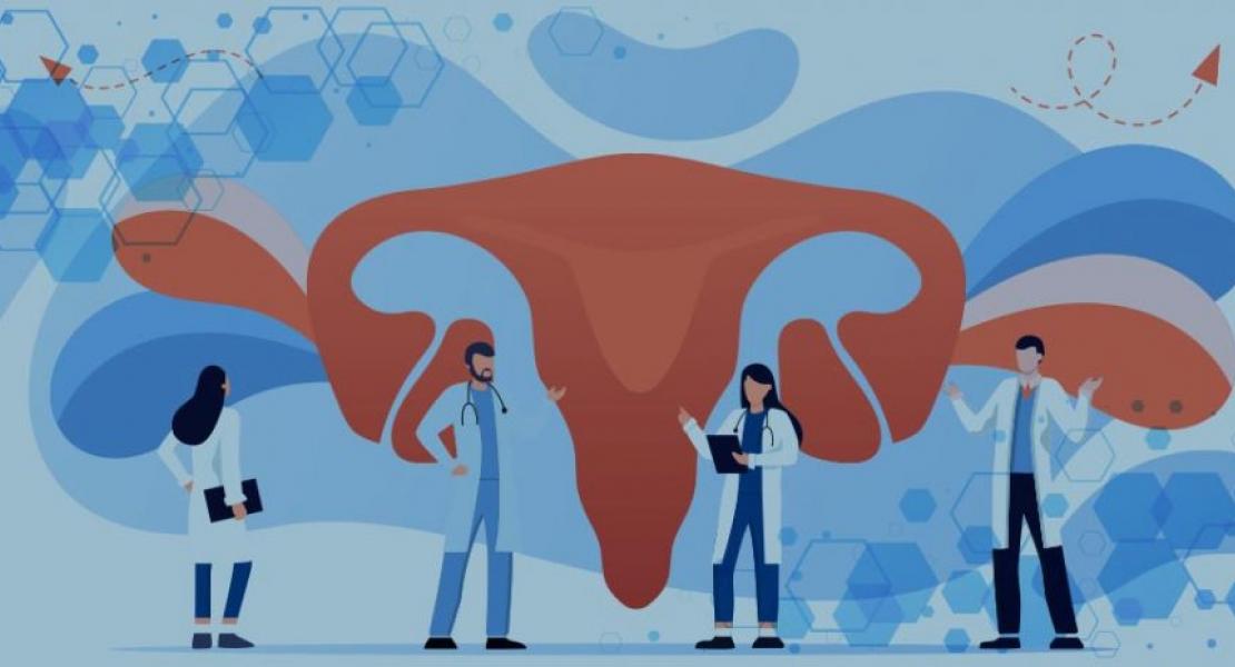 Factores que afectan la fertilidad femenina